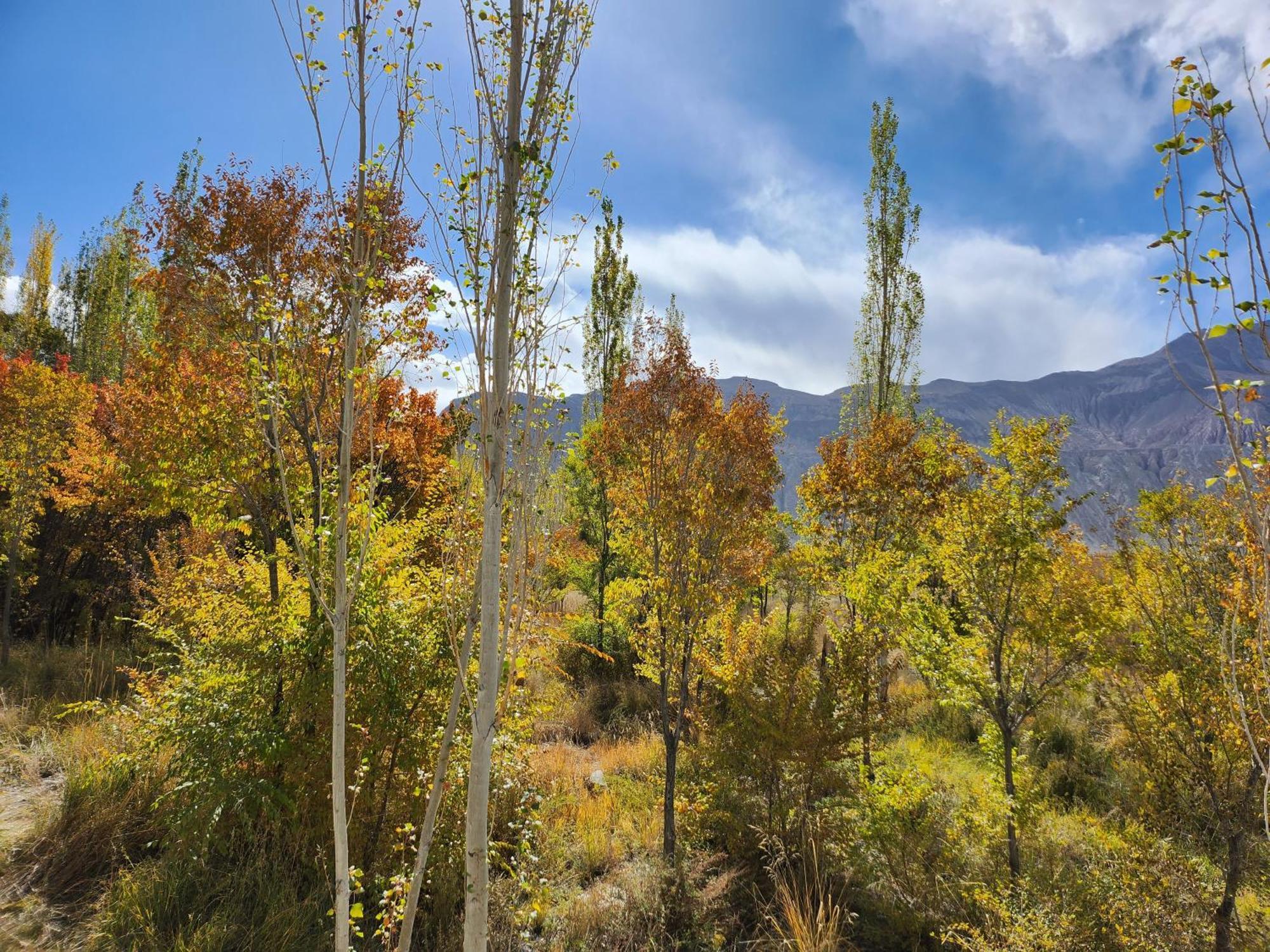 Lharimo Hotel Leh - Ladakh Bagian luar foto