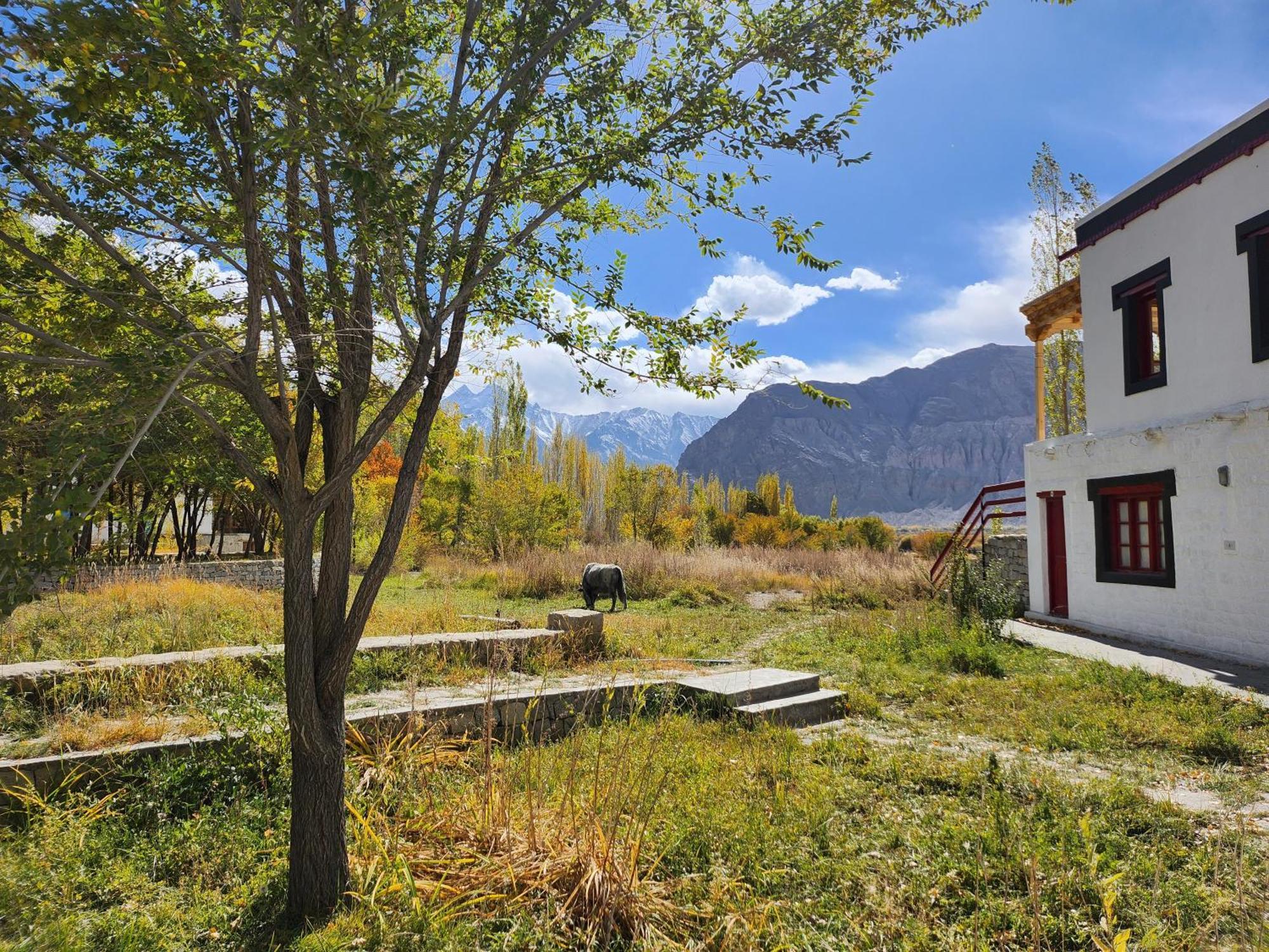 Lharimo Hotel Leh - Ladakh Bagian luar foto