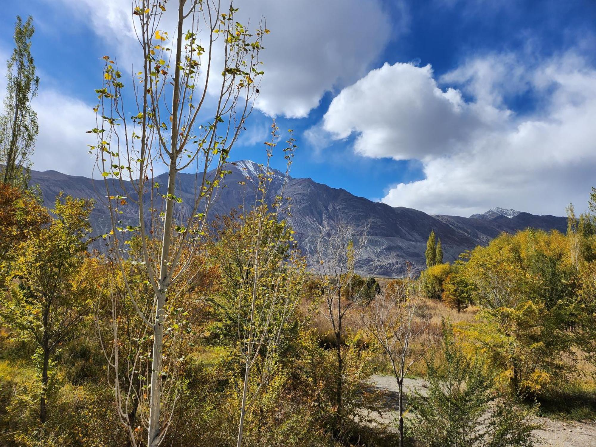 Lharimo Hotel Leh - Ladakh Bagian luar foto