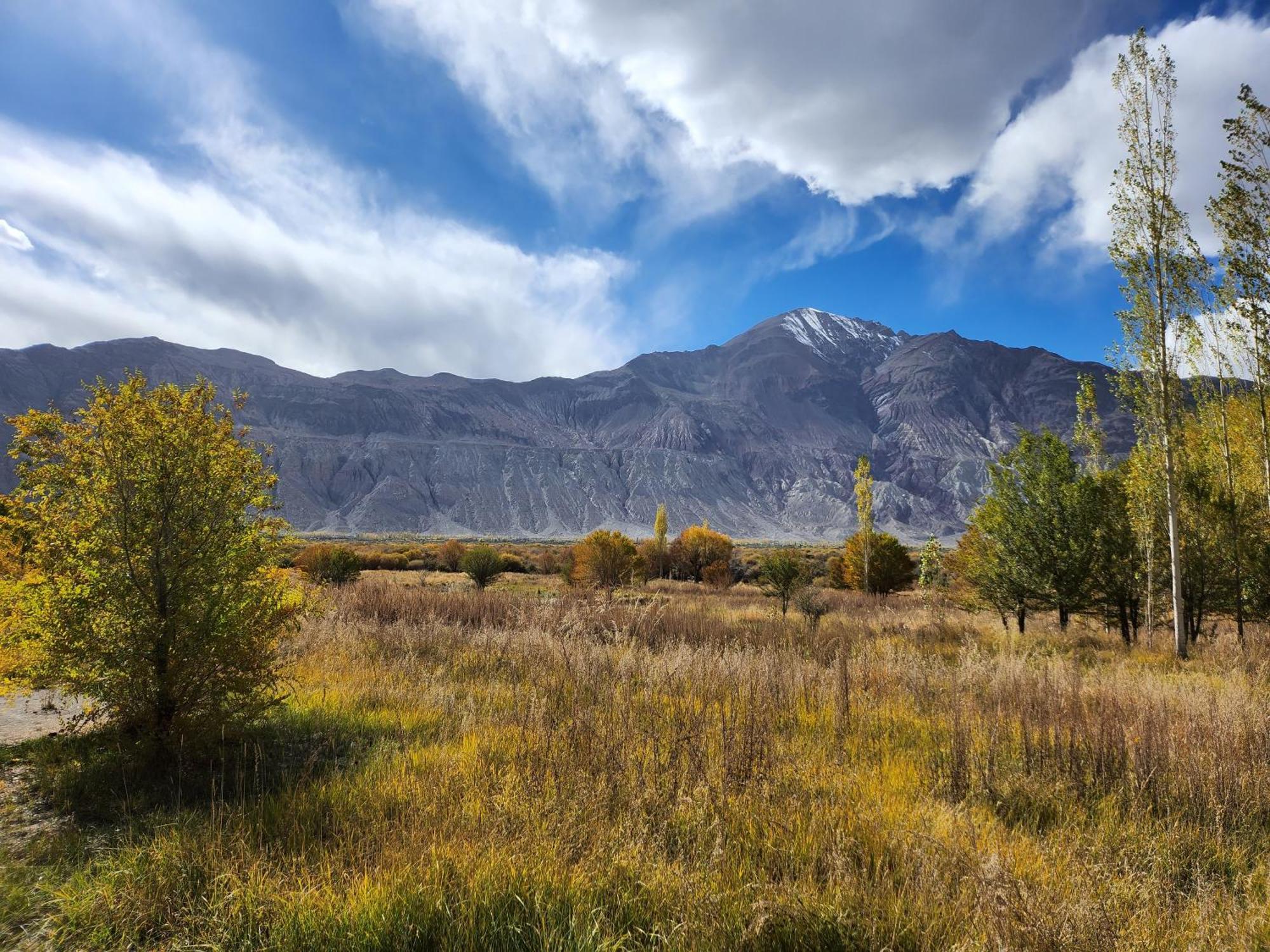 Lharimo Hotel Leh - Ladakh Bagian luar foto