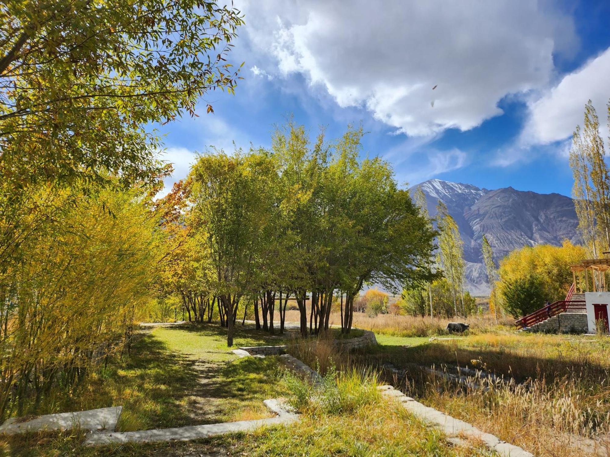 Lharimo Hotel Leh - Ladakh Bagian luar foto