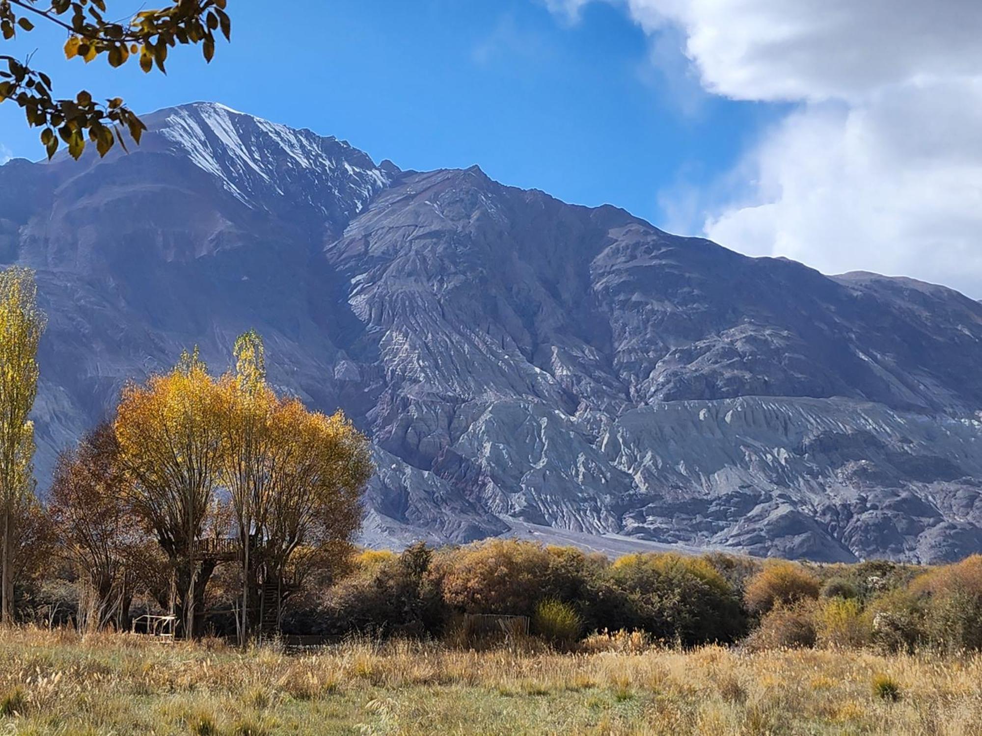 Lharimo Hotel Leh - Ladakh Bagian luar foto