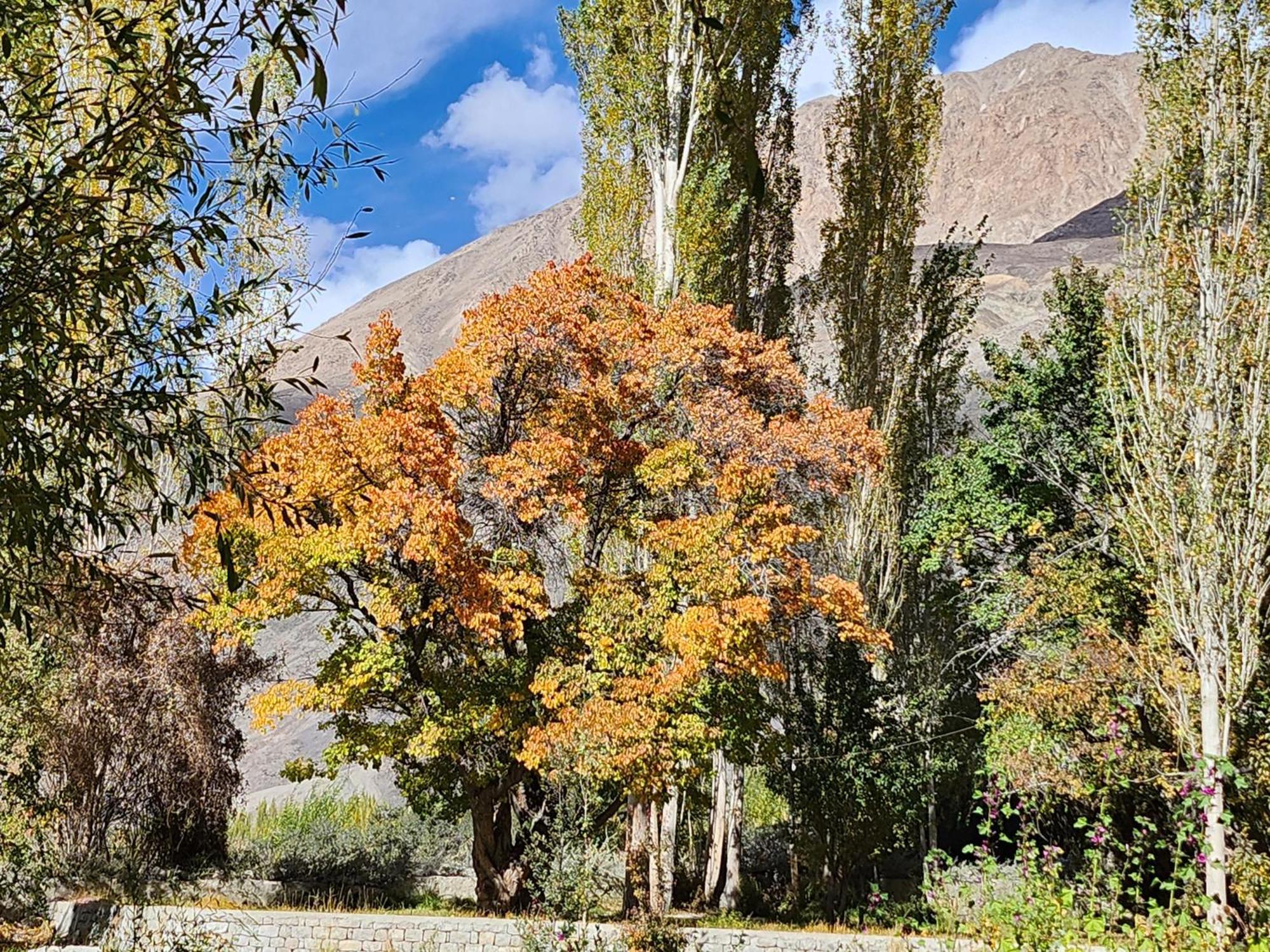 Lharimo Hotel Leh - Ladakh Bagian luar foto