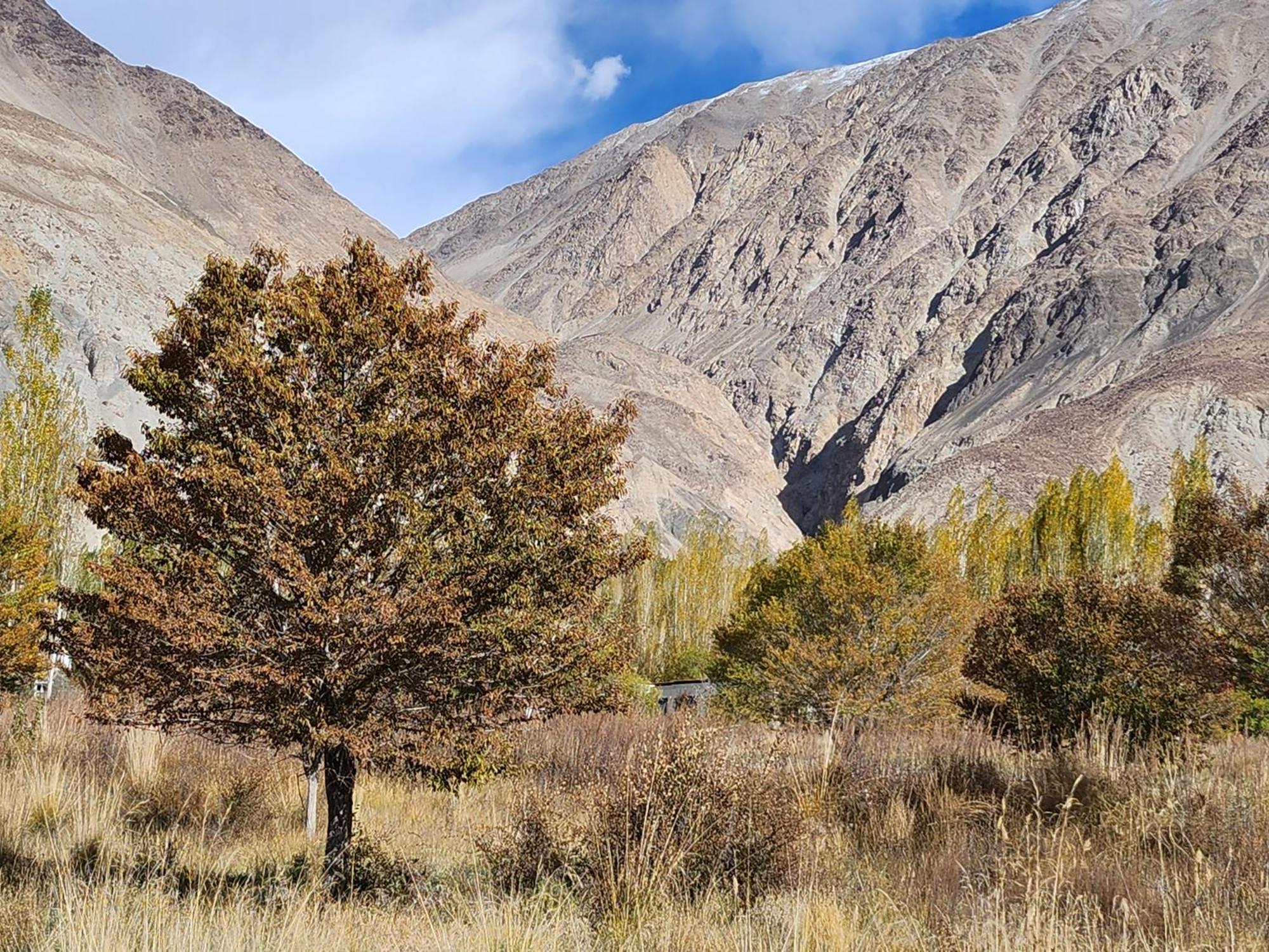 Lharimo Hotel Leh - Ladakh Bagian luar foto