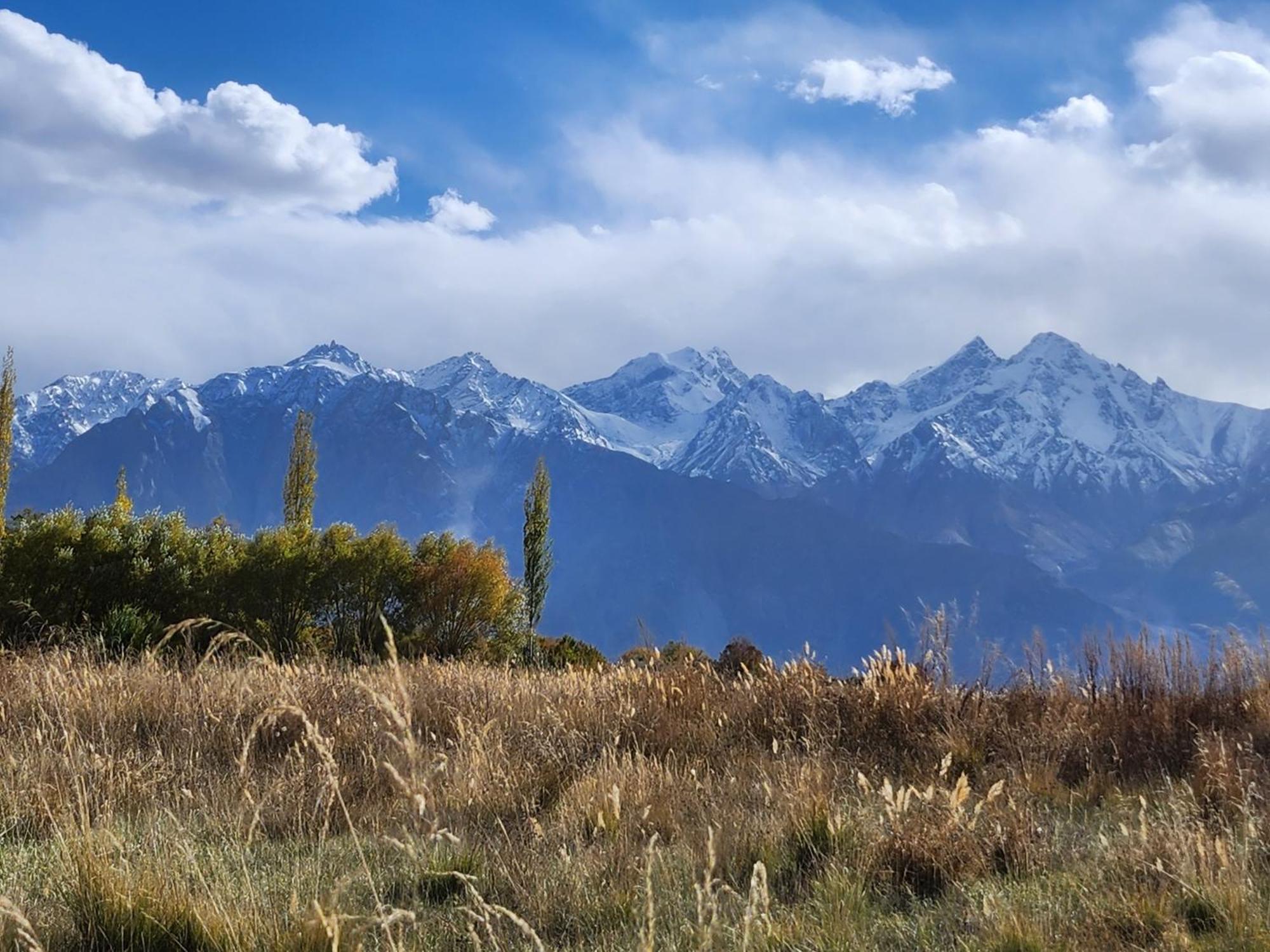 Lharimo Hotel Leh - Ladakh Bagian luar foto